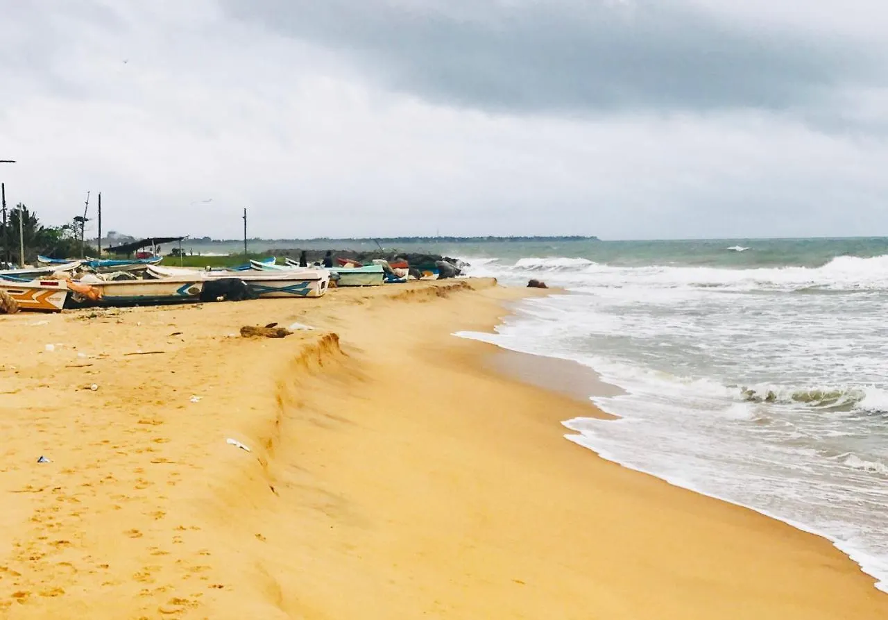 Sea Beach Resort نيجومبو سريلانكا